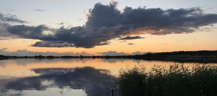 Ødis, Ødis Bramdrup og Fovslet er små, charmerende landsbyer midt i smukke Jylland, hvor fællesskabet blomstrer og historien lever videre i de gamle stenhuse, nybyggeriet og maleriske landskaber. Her finder du den ægte danske hygge, hvor naturen, kulturarven og nærværet danner rammen om et liv tæt på det hele, men langt fra hverdagens stress og jag. Udforsk det rolige tempo, nyd de åbne marker og lad dig forføre af de skjulte perler, som venter på at blive opdaget.